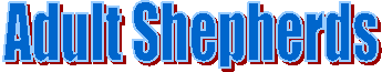 Adult Shepherds